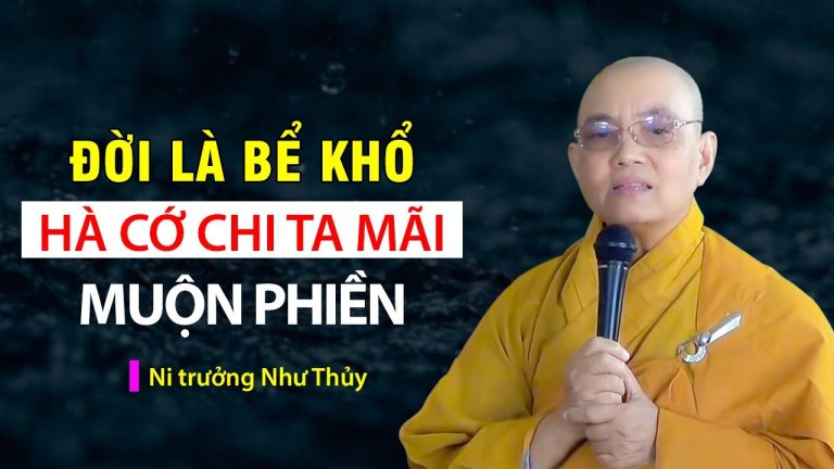 ĐỜI LÀ BỂ KHỔ hà cớ chi ta mãi muộn phiền I Ni trưởng Như Thủy (P2 ...